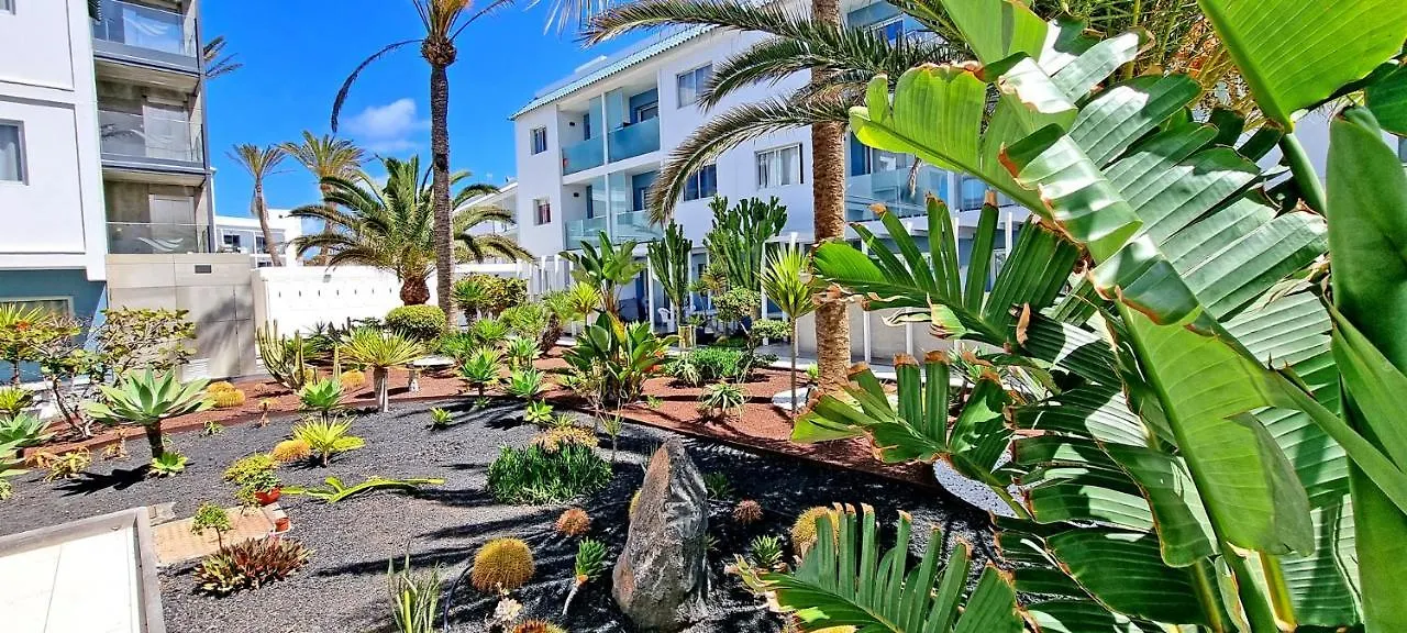 Flora Lägenhet Corralejo Spanien